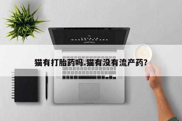药流药购买联系猫有打胎药吗.猫有没有流产药？