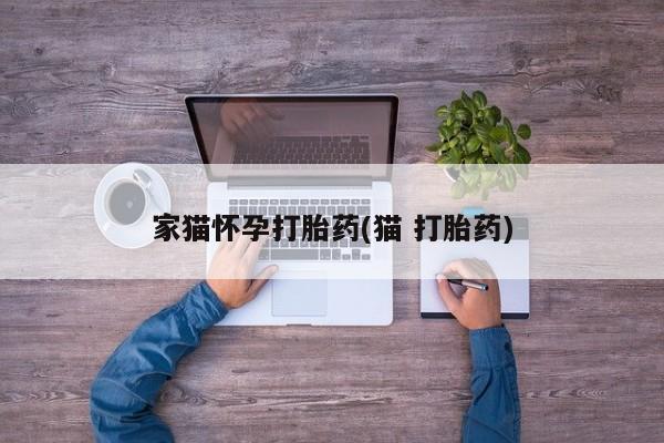 药流药购买联系家猫怀孕打胎药(猫 打胎药)